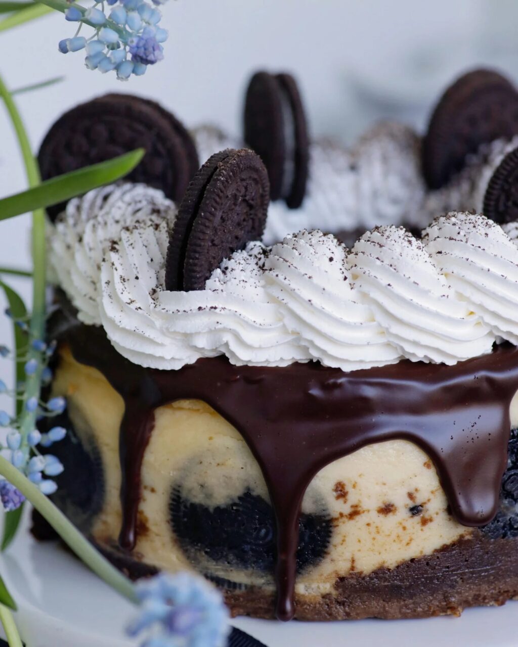 Cheesecake de Oreo 8p