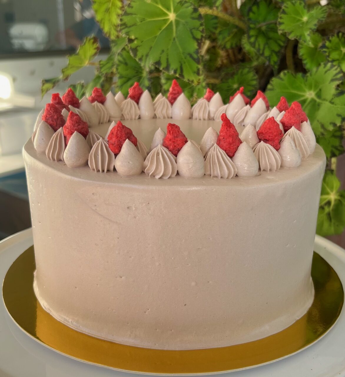 Torta Vegana de Chocolate y Frambuesa